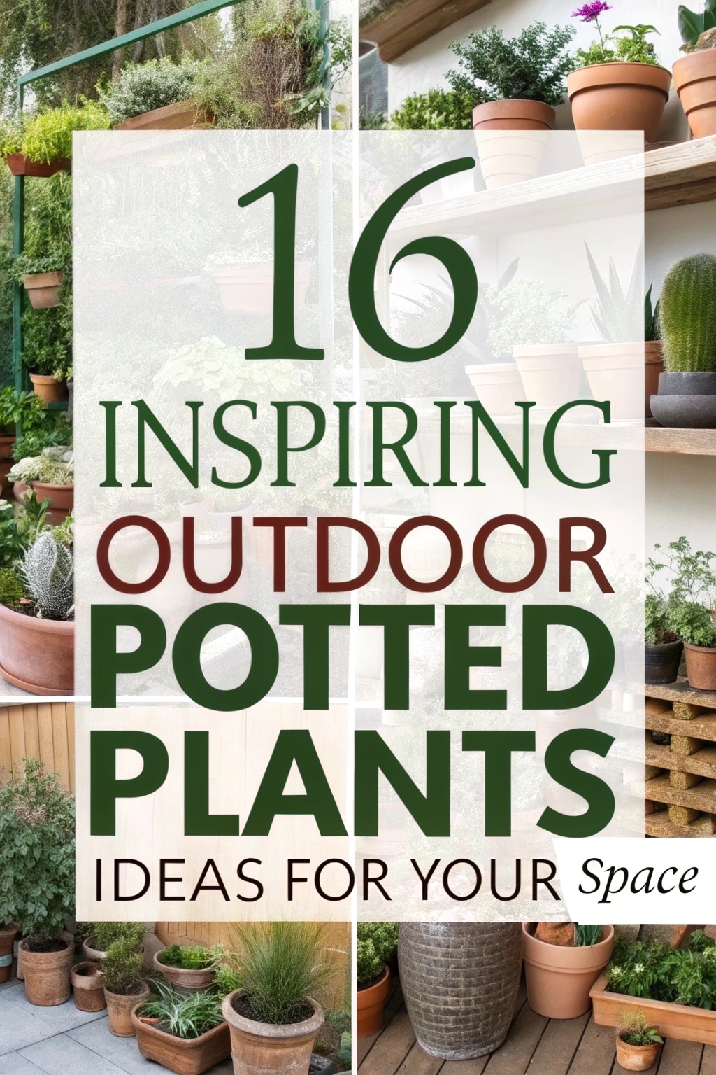 16 Inspiring Outdoor Potted Plants Ideas for Your Space