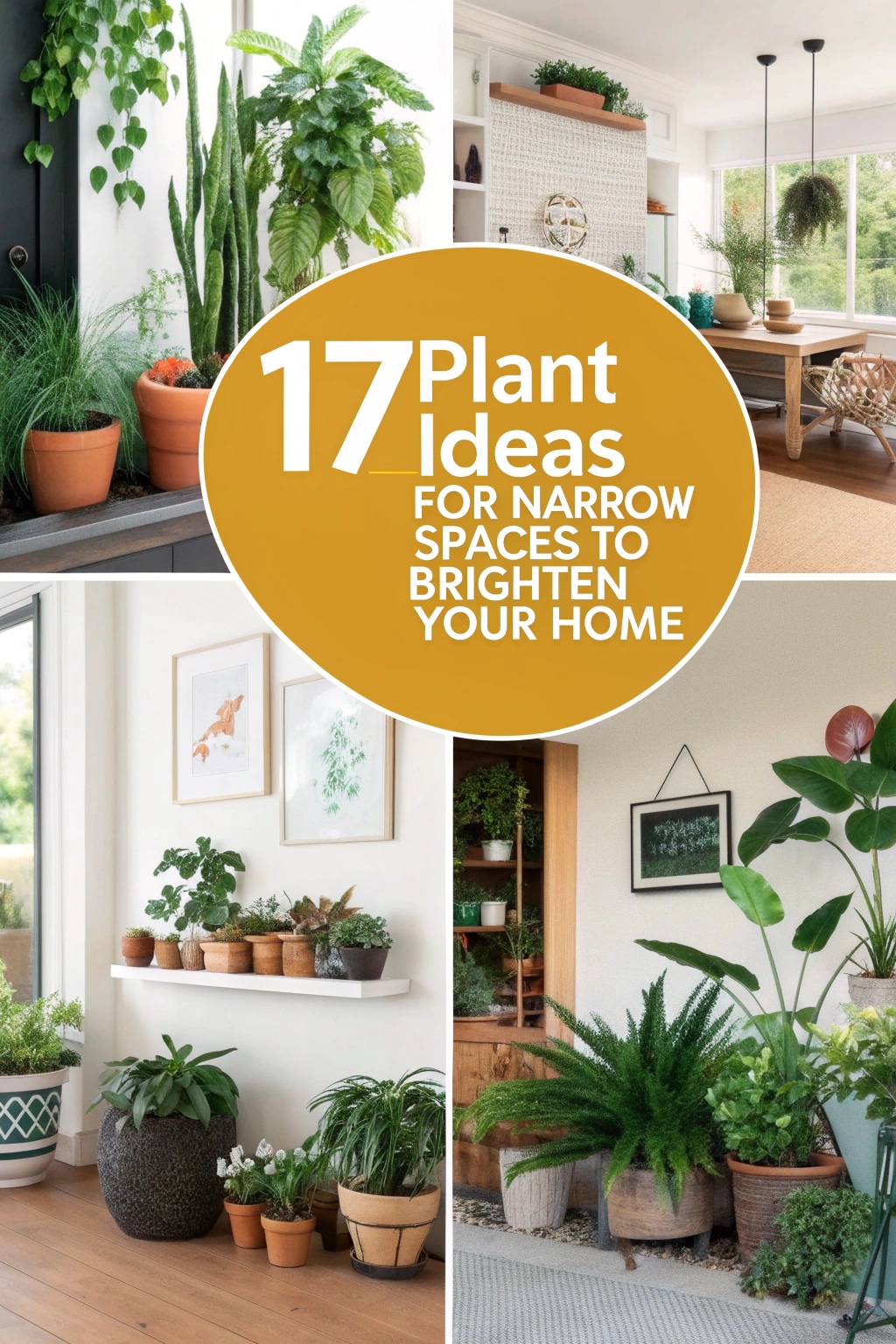 17 Plant Ideas for Narrow Space to Brighten Your Home