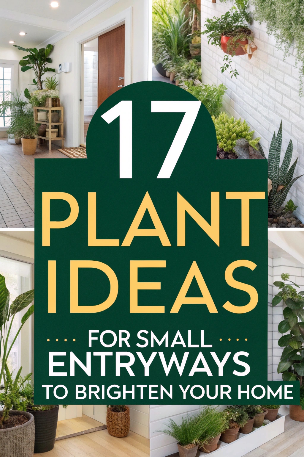 17 Plant Ideas for Small Entryways to Brighten Your Home