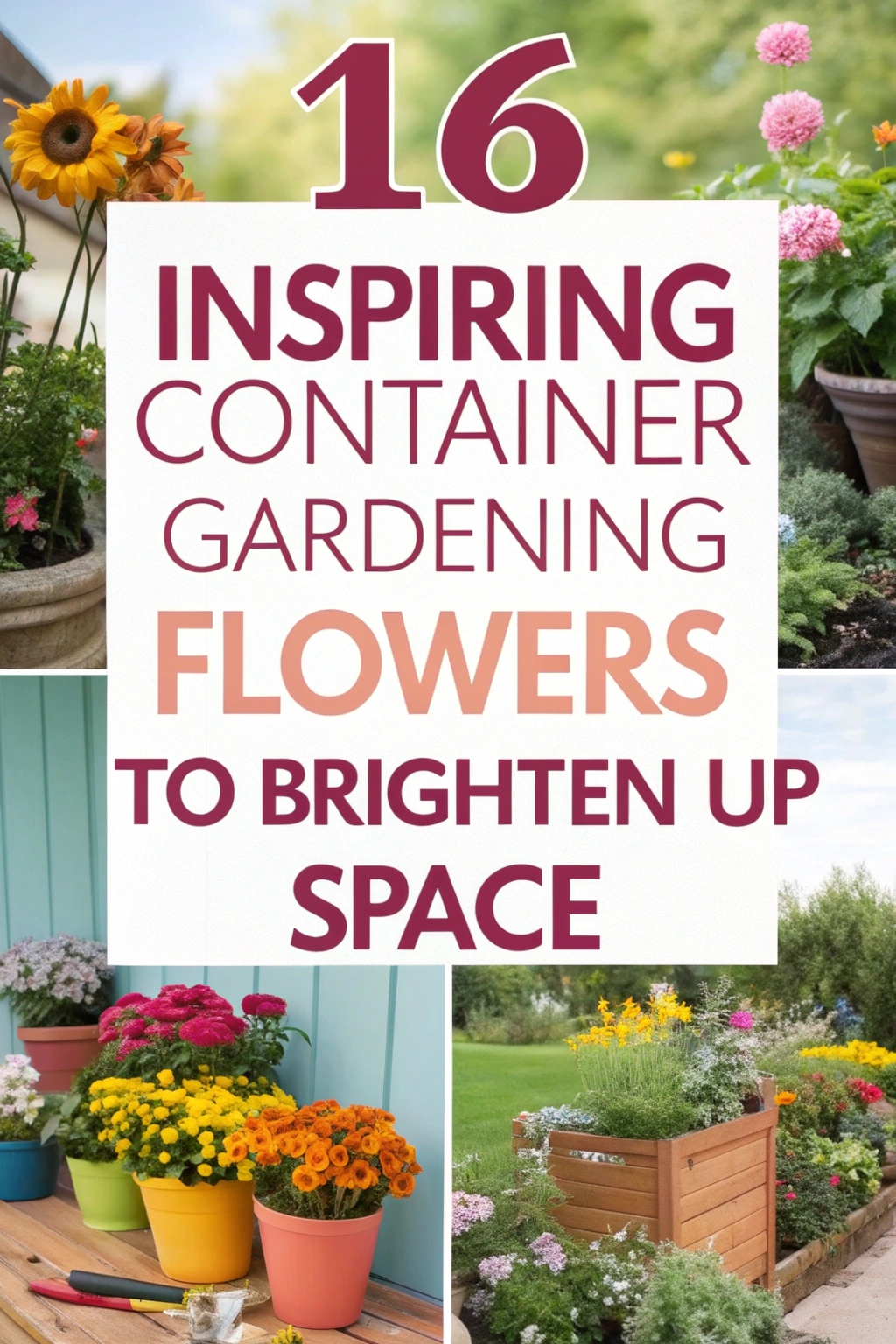 Inspiring Container Gardening Flowers to Brighten Up Space