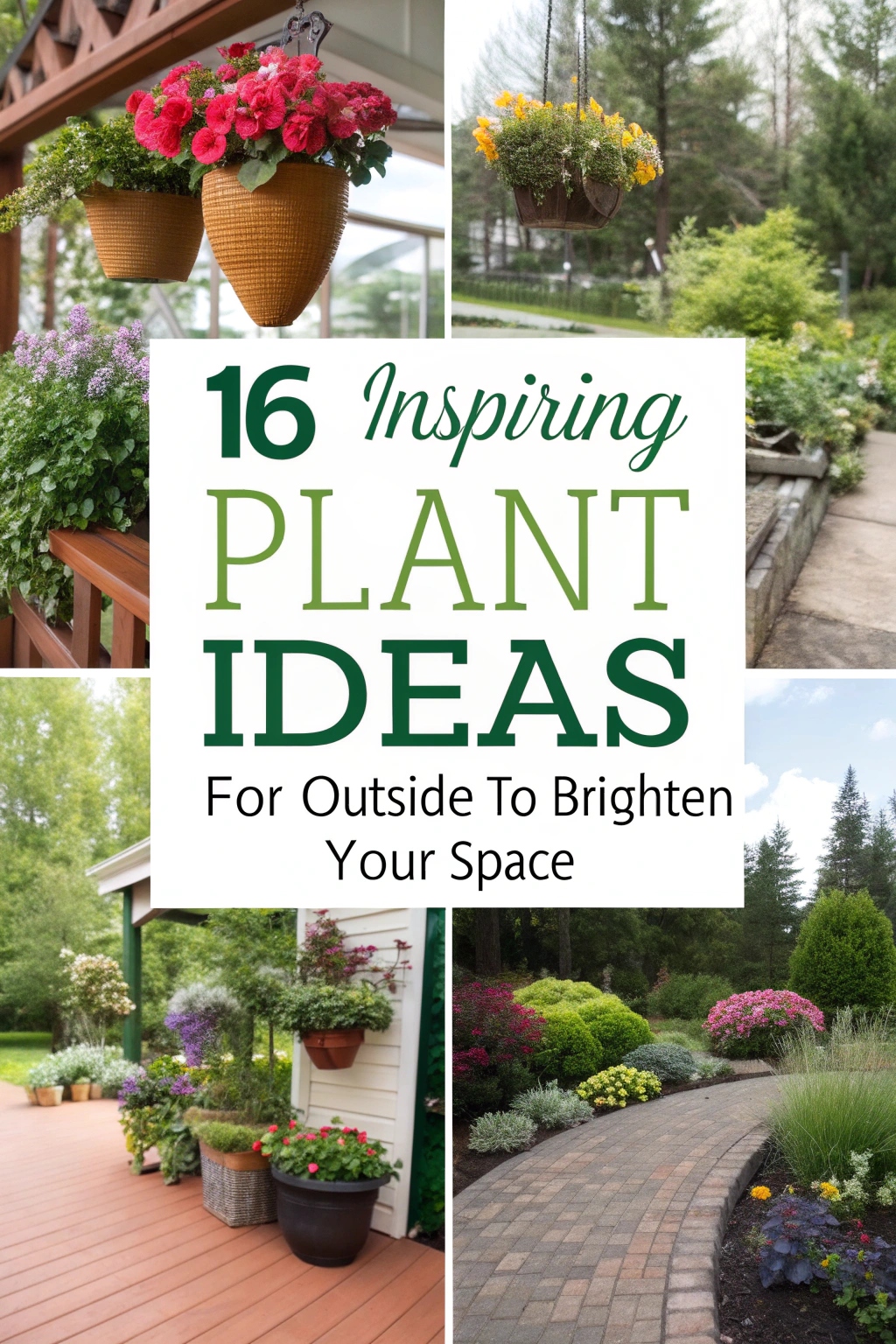 Inspiring Plant Ideas for Outside to Brighten Your Space