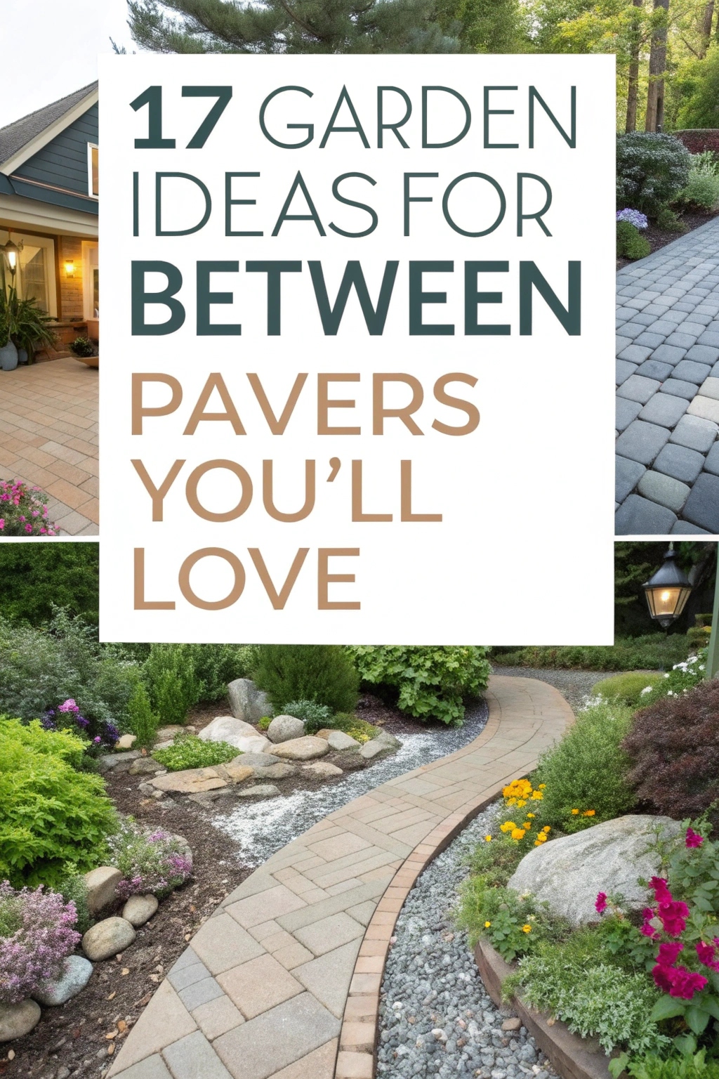Garden Ideas for Between Pavers You’ll Love