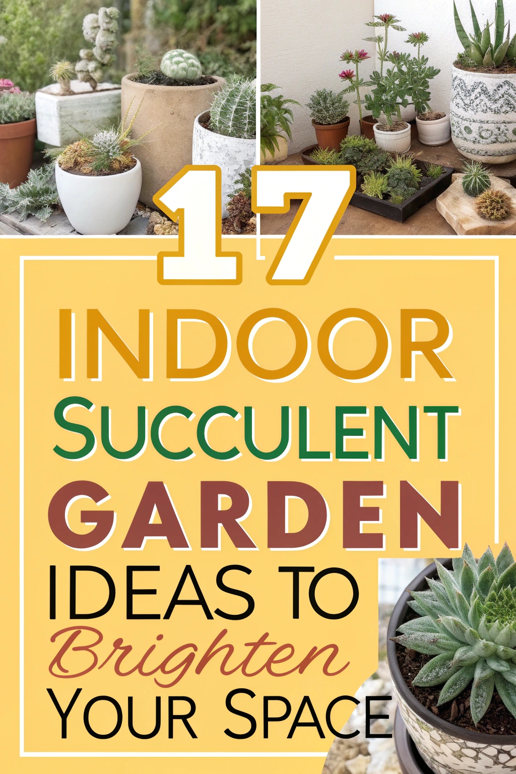 Indoor Succulent Garden Ideas to Brighten Your Space