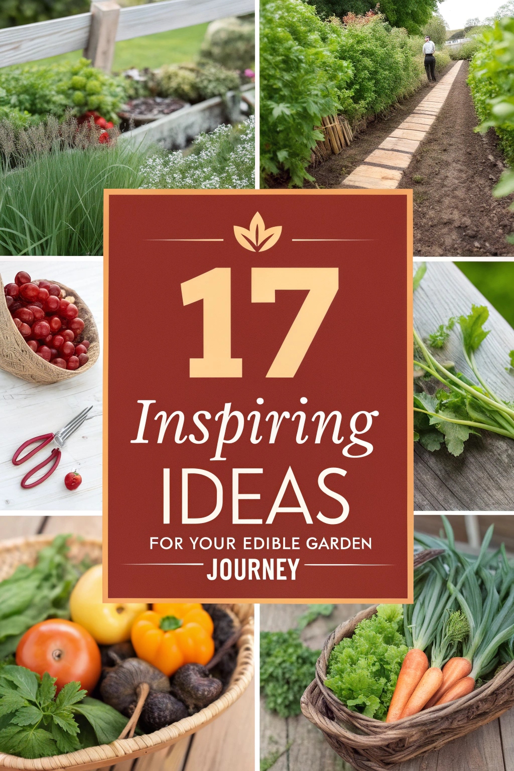 17 Inspiring Ideas for Your Edible Garden Journey