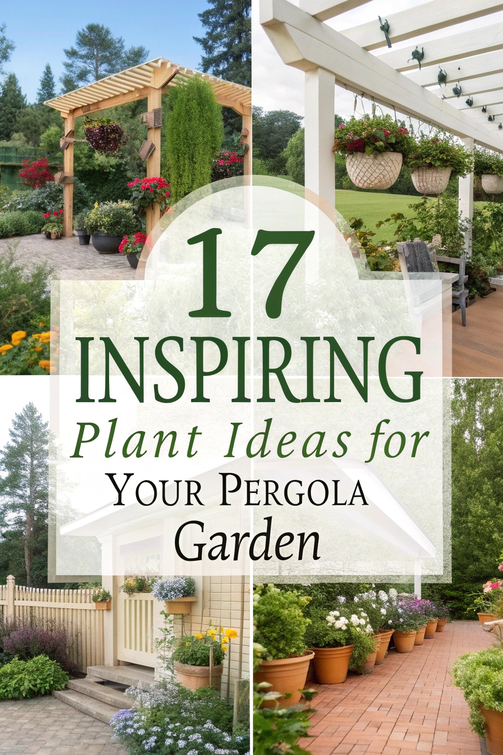 Inspiring Plant Ideas for Your Pergola Garden