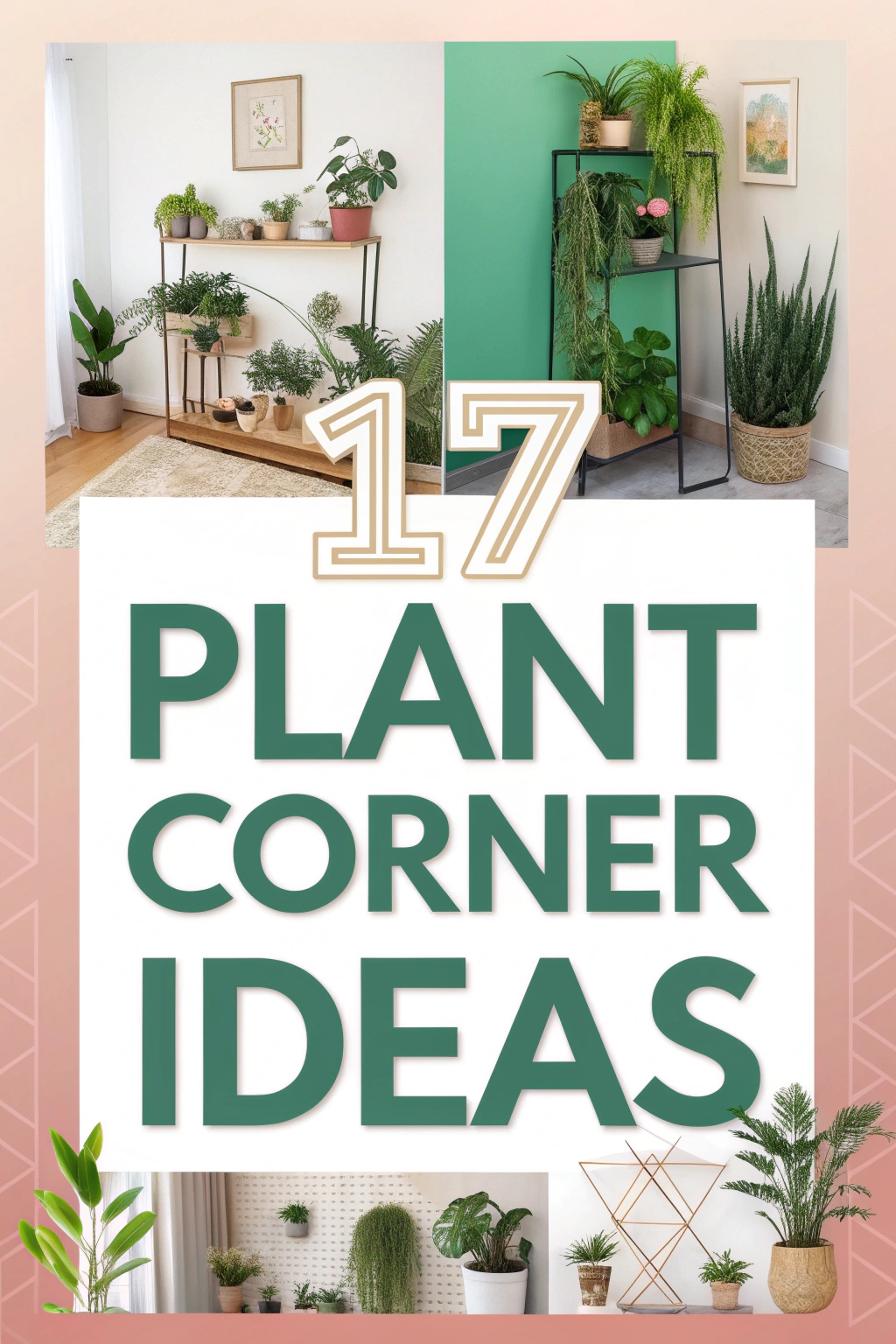 Plant Corner Ideas to Brighten Your Home Space