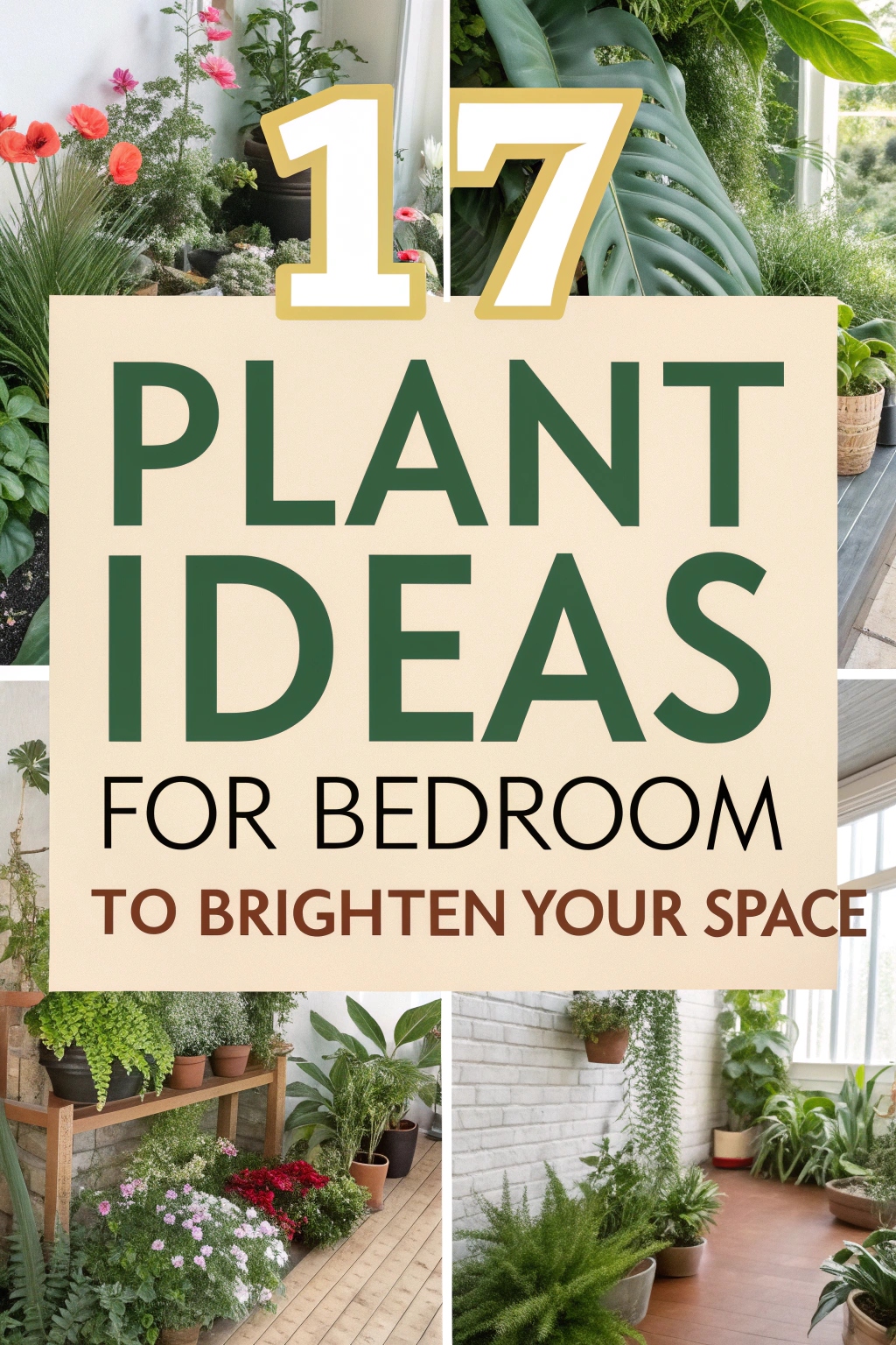 17 Plant Ideas for Bedroom to Brighten Your Space