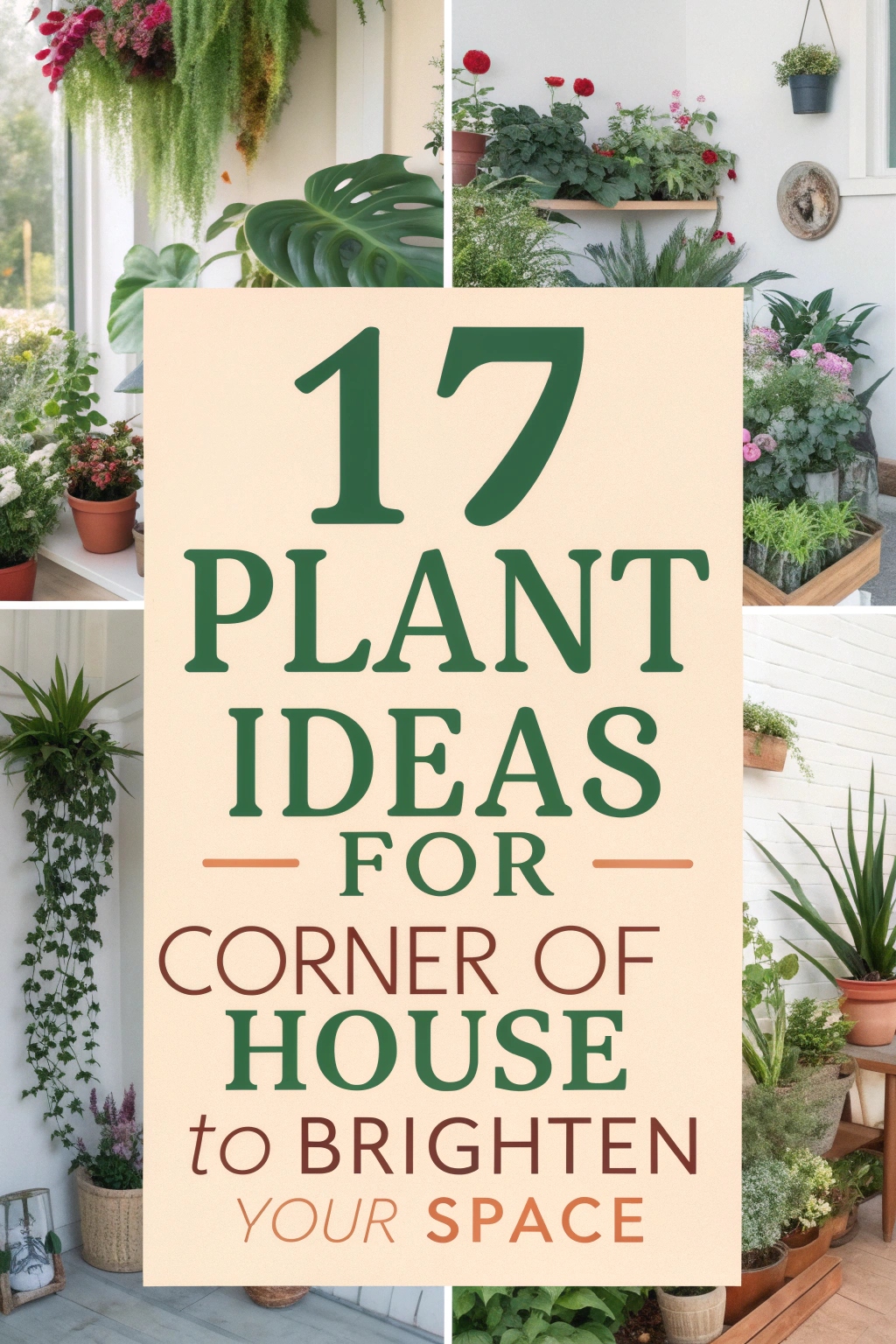 Plant Ideas for Corner of House to Brighten Your Space