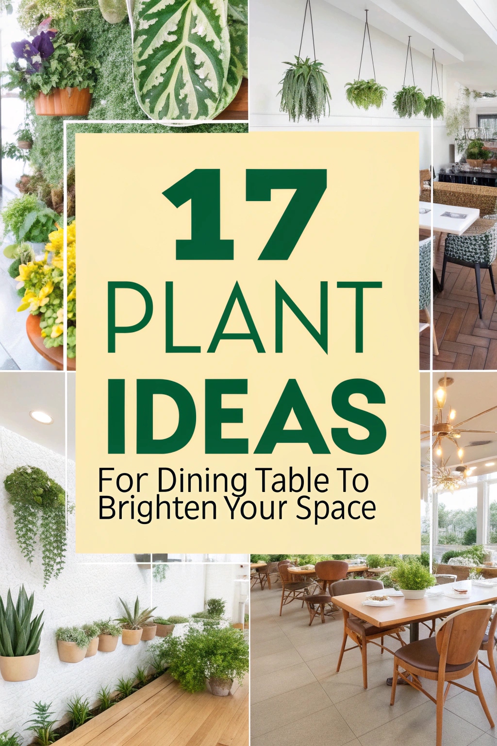 Plant Ideas for Dining Table to Brighten Your Space