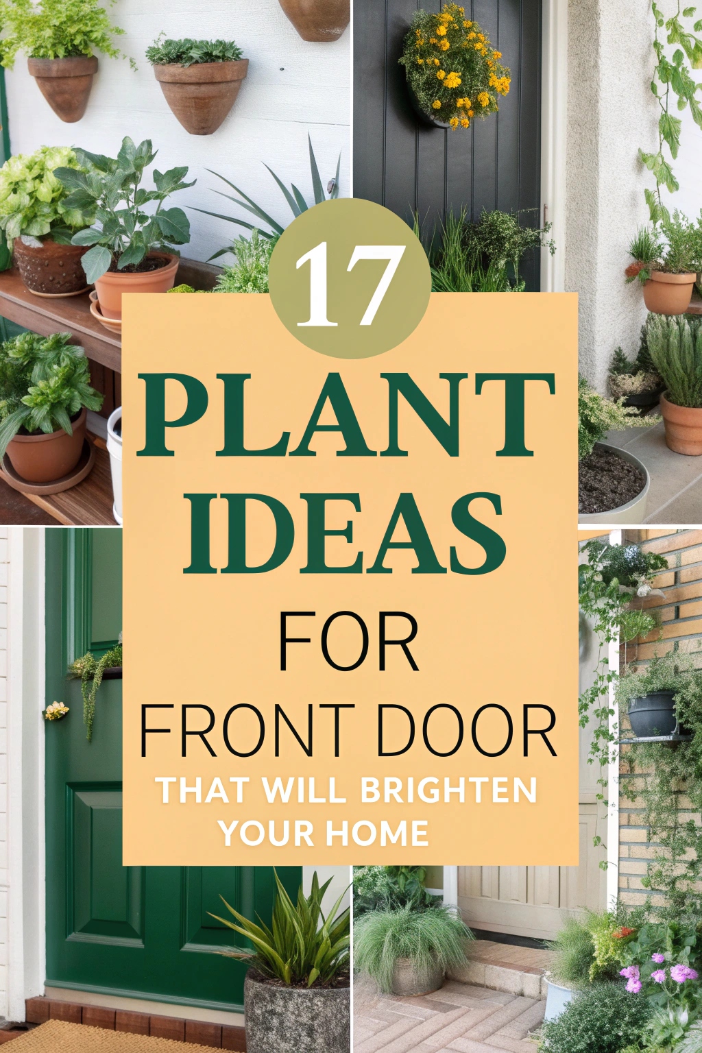 Plant Ideas for Front Door That Will Brighten Your Home