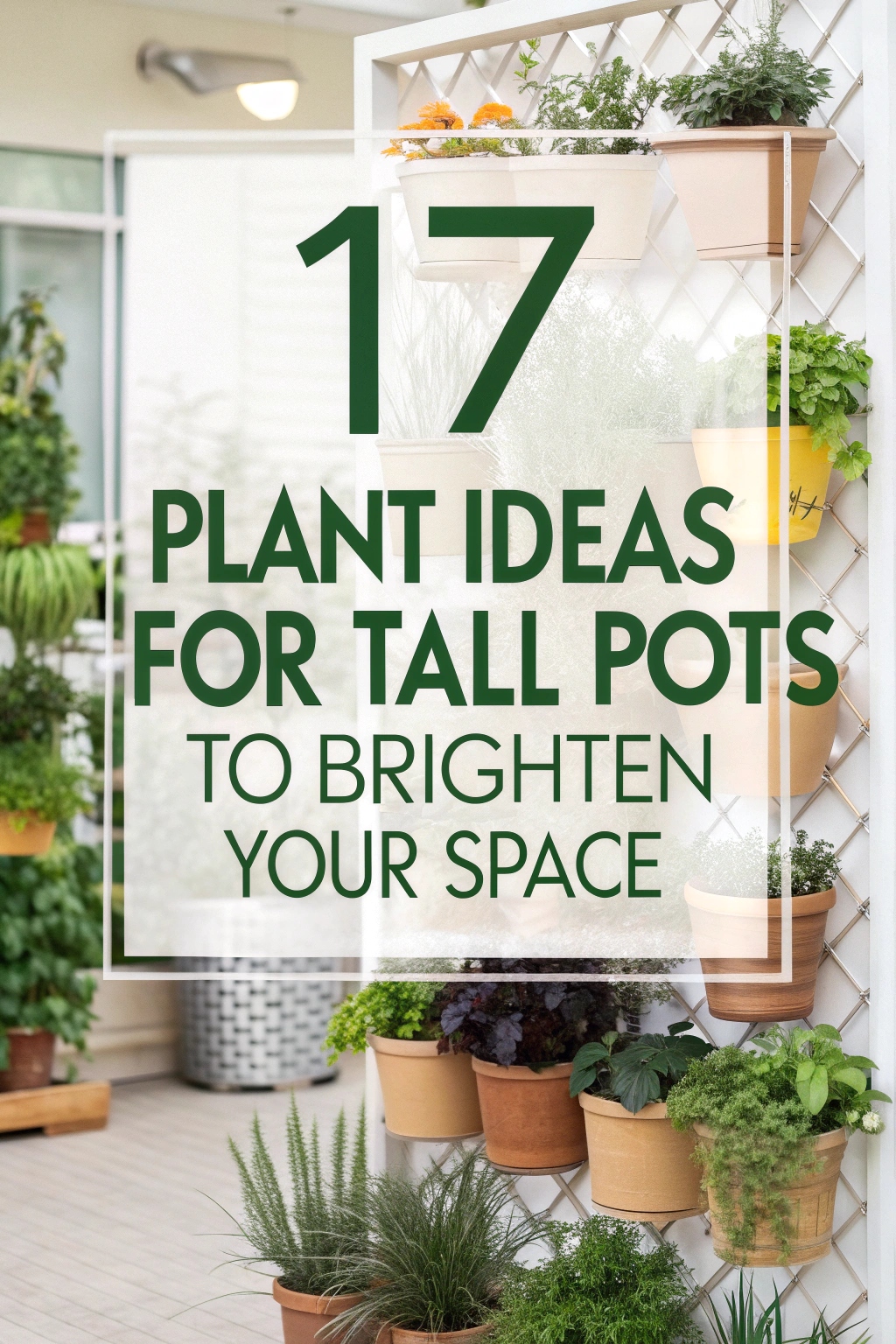 Plant Ideas for Tall Pots to Brighten Your Space