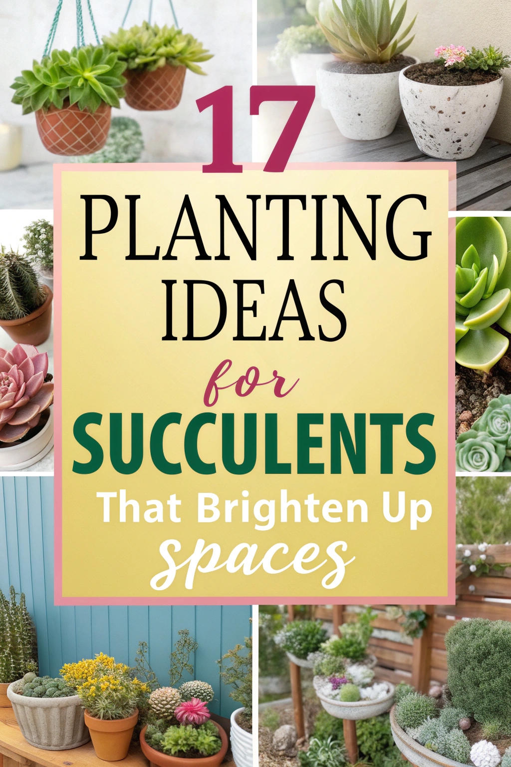 17 Planting Ideas for Succulents That Brighten Up Spaces