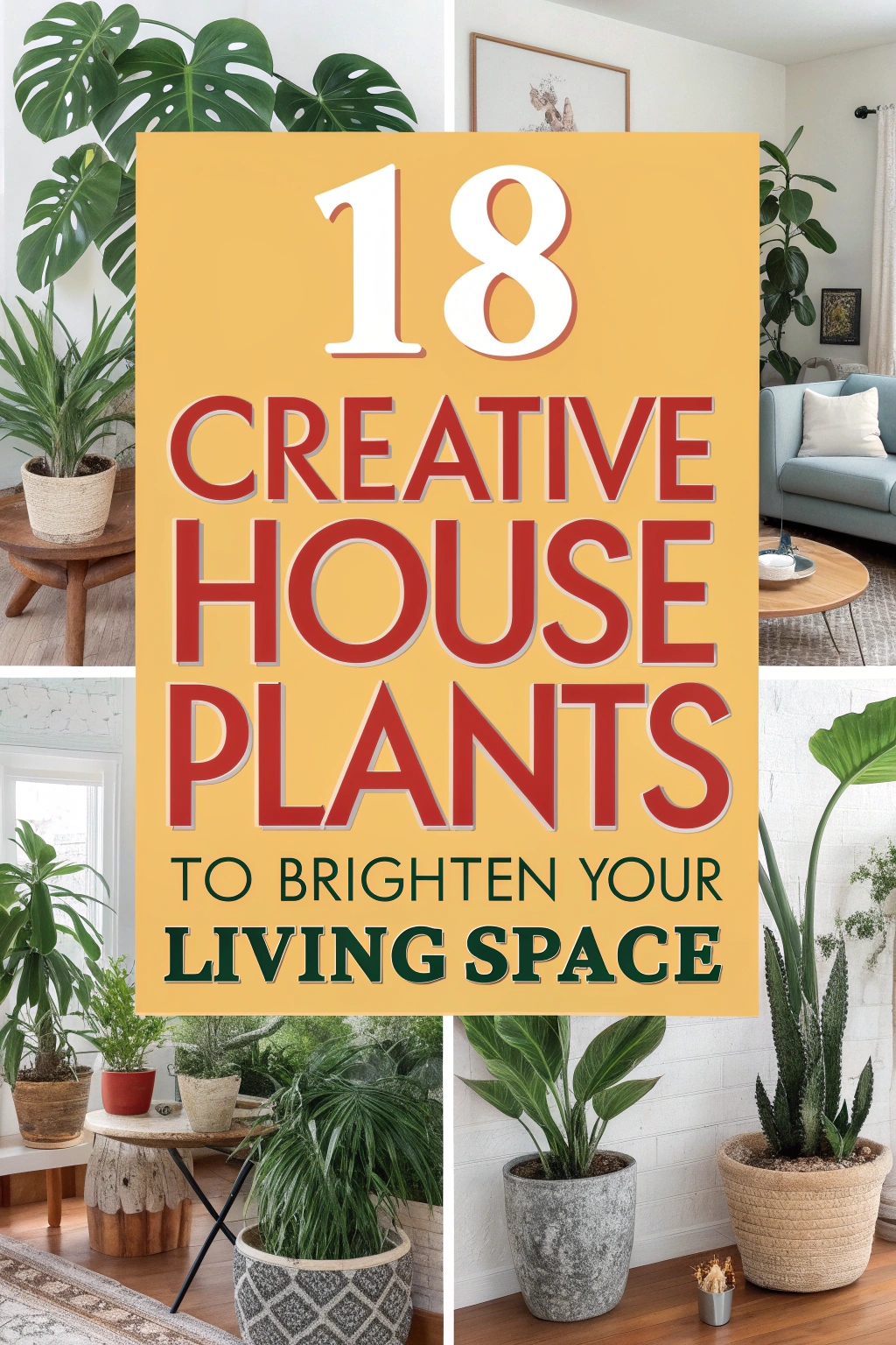 18 Creative House Plants to Brighten Your Living Space