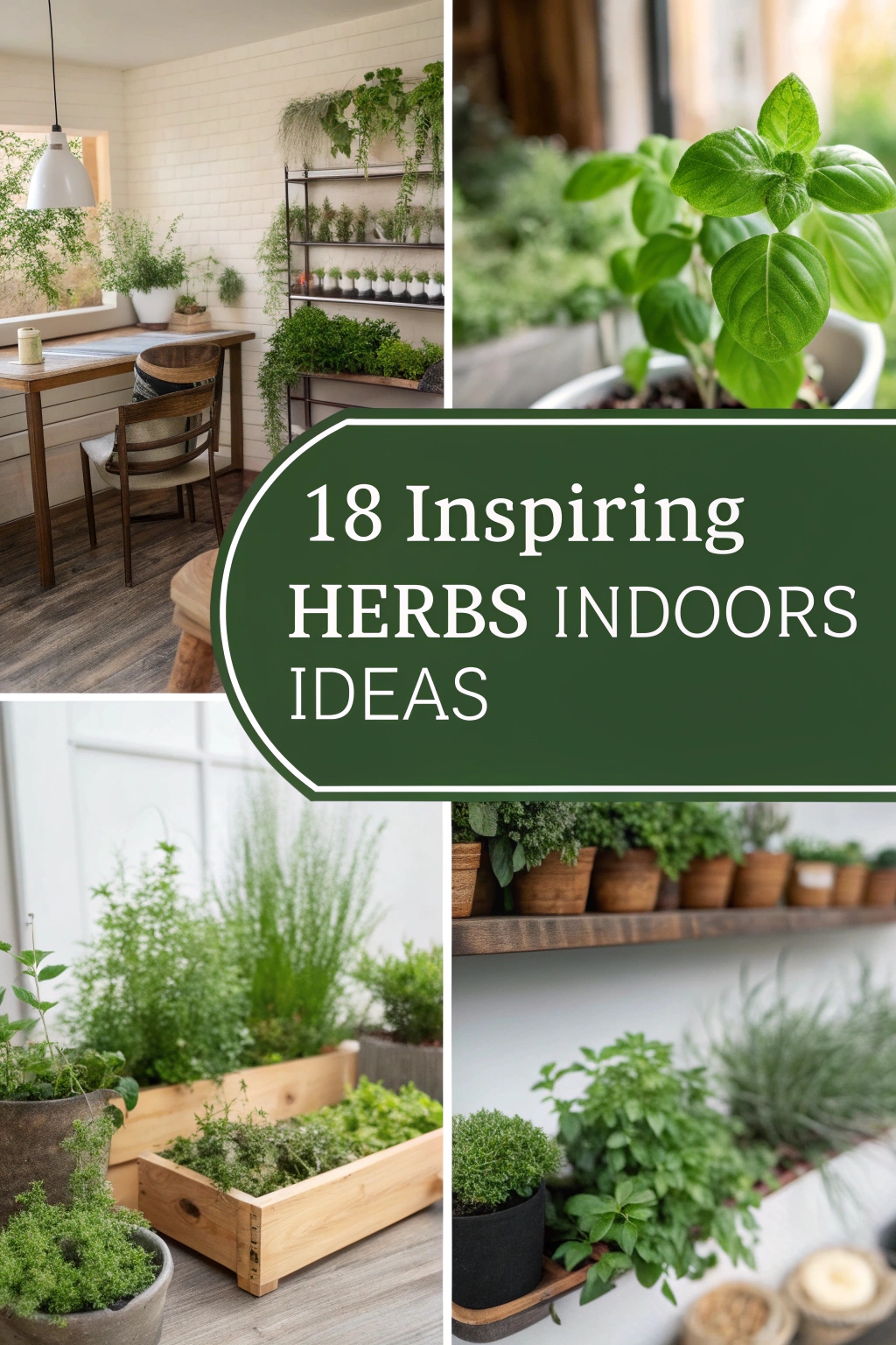 Inspiring Herbs Indoors Ideas for Your Home Garden