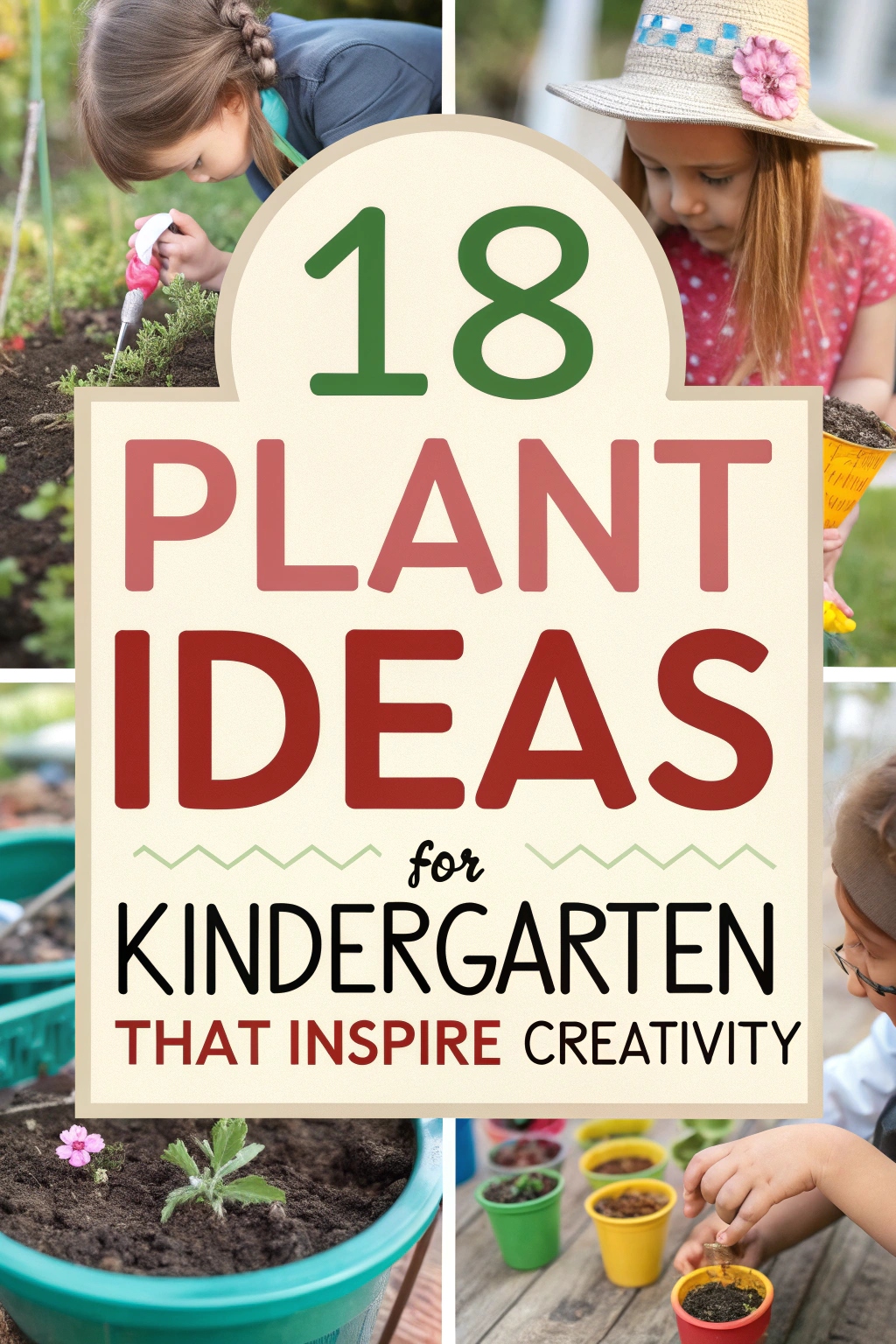 Plant Ideas for Kindergarten That Inspire Creativity