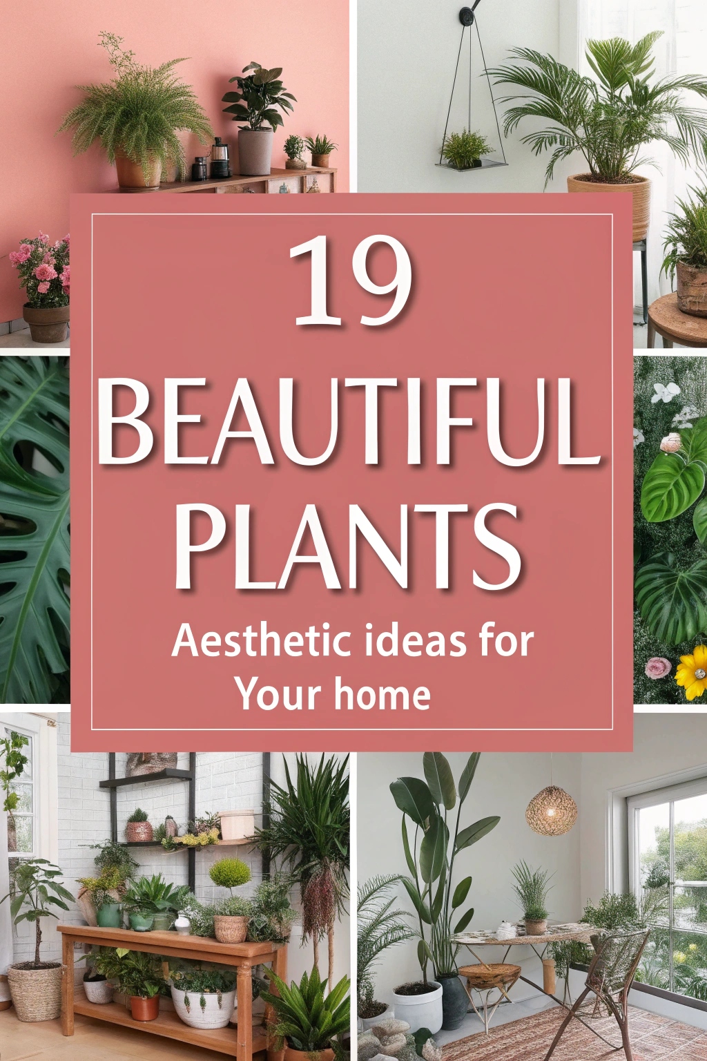 Beautiful Plants Aesthetic Ideas for Your Home