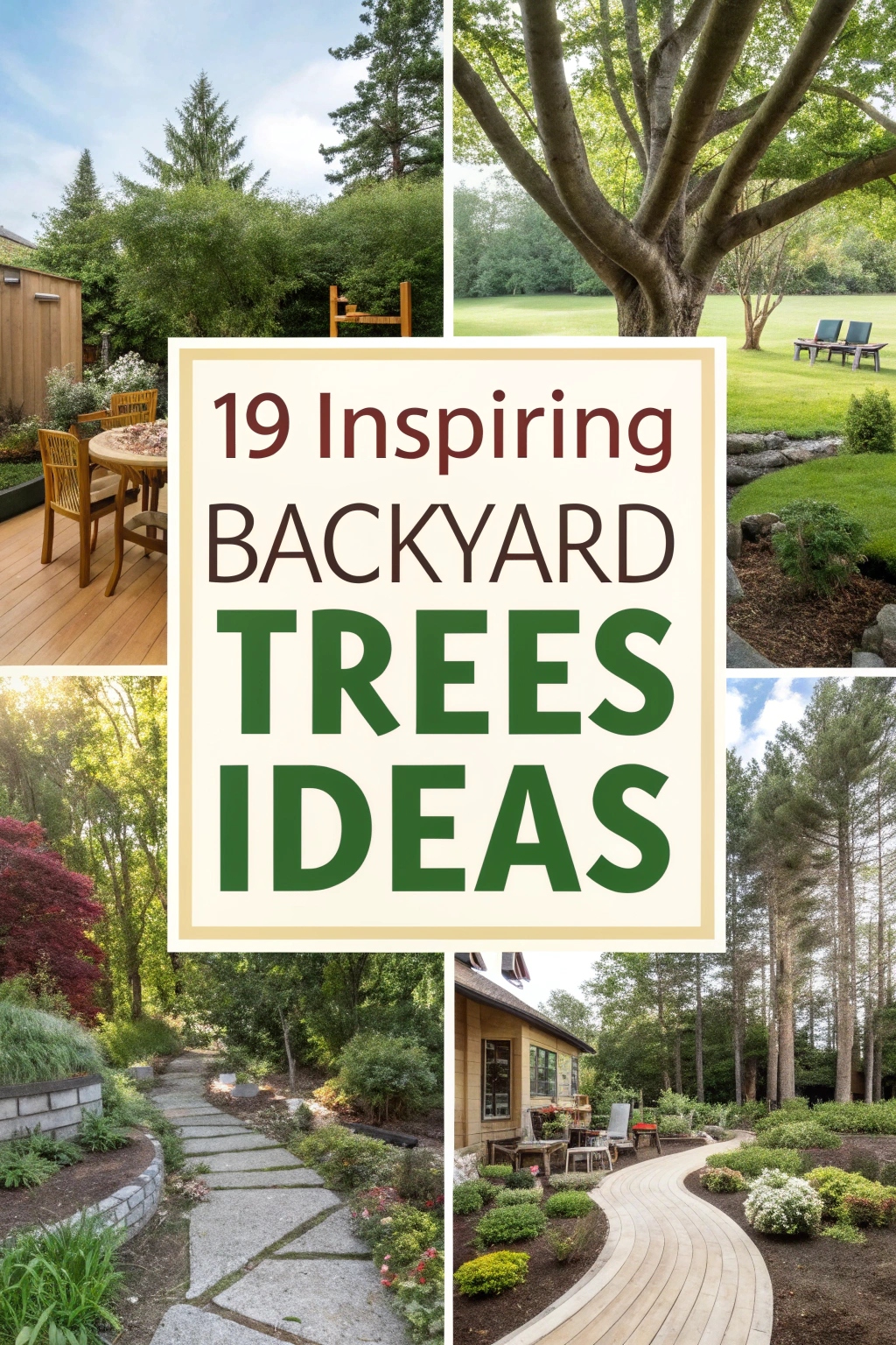 Inspiring Backyard Trees Ideas for Your Outdoor Space