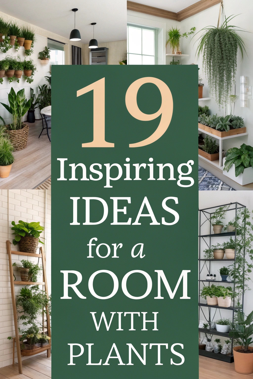 Inspiring Ideas for a Room With Plants
