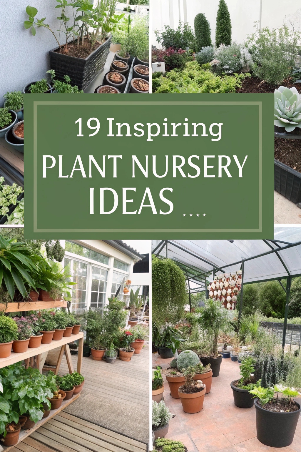 Inspiring Plant Nursery Ideas to Try Right Now