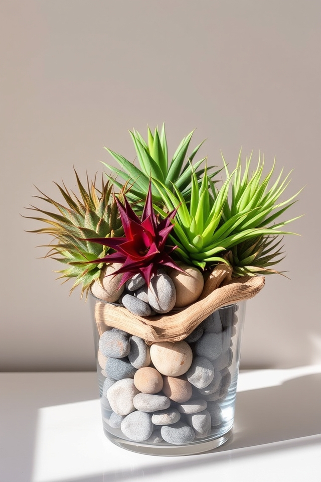 creative low maintenance plant displays