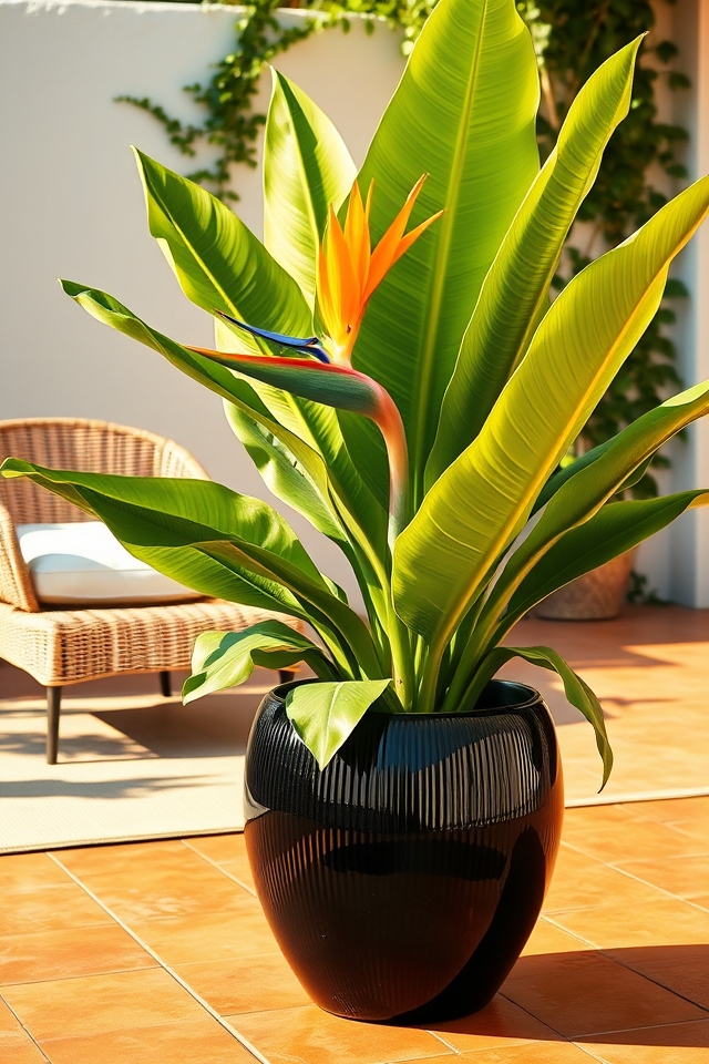 exotic lush tropical foliage