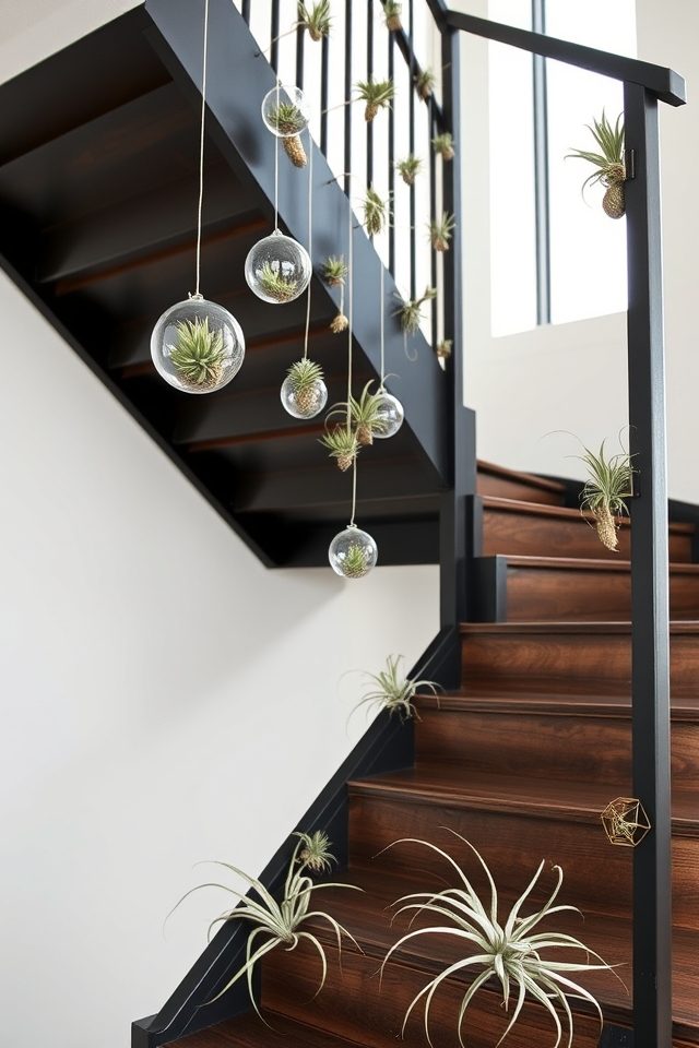 low maintenance air plant stairs