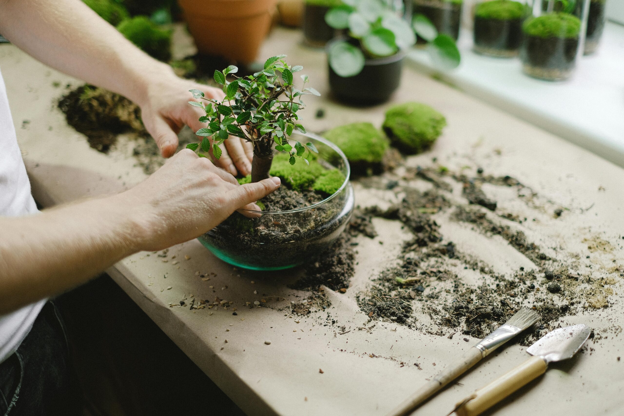 small Garden