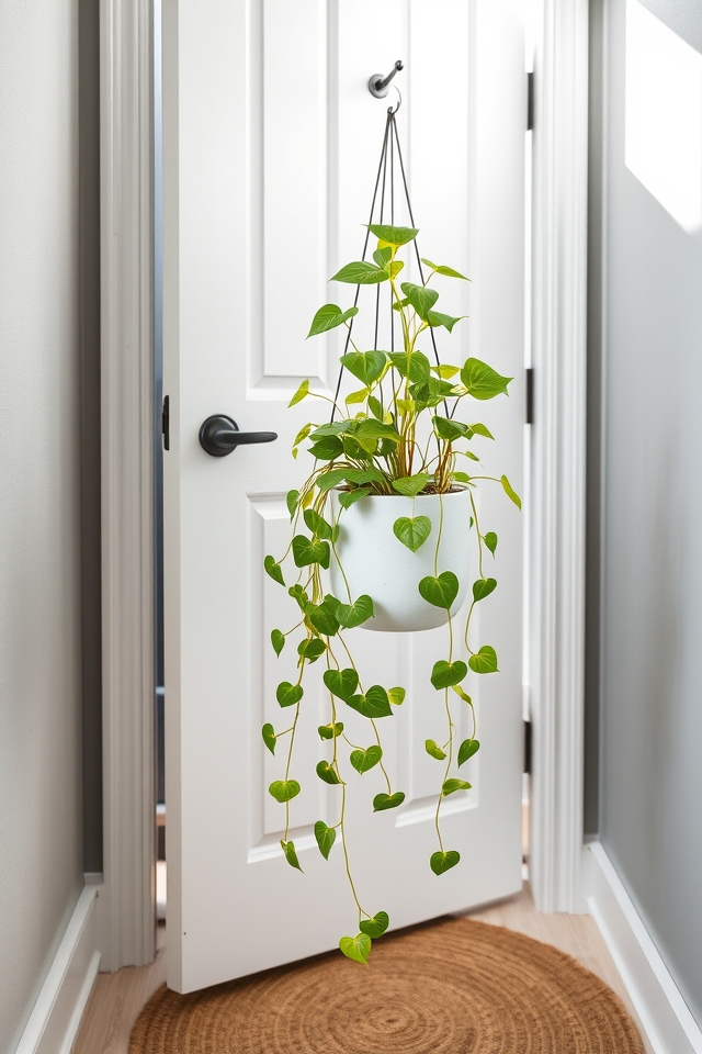 suspend trailing plants overhead